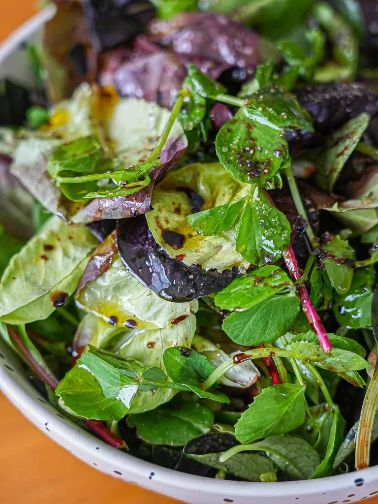 Green Leafy Salad